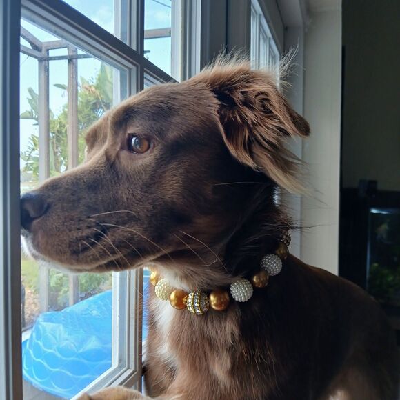 Handmade Jungle Green Beaded Dog Puppy Collar Necklace Jewelry Durable 16 1/4" - Picture 4 of 4